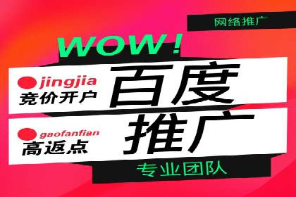 案例展示：百度推广代理助力企业拓展海外市场